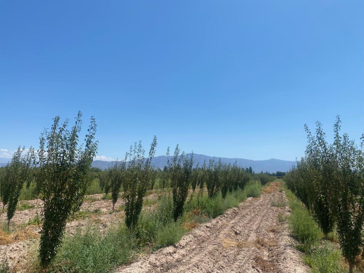 El Rincon Del Nene Villa Albardón Eksteriør billede